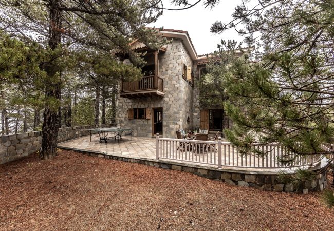 Villa in Pedoulas - Troodos Mature Pine Chalet  Villa in Pedoulas - Troodos Mature Pine Chalet