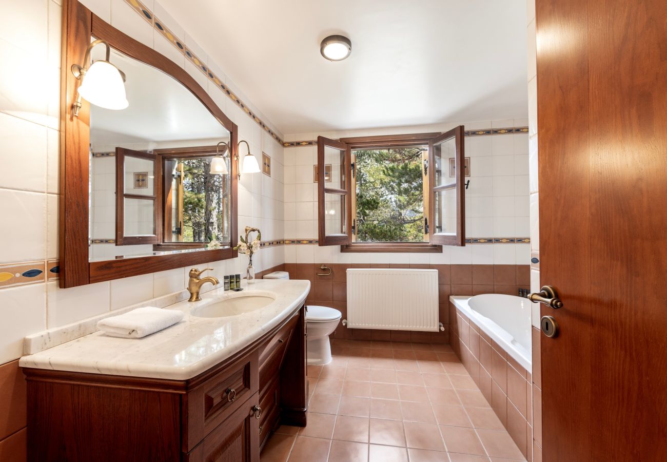 Villa in Pedoulas - Troodos Mature Pine Chalet 