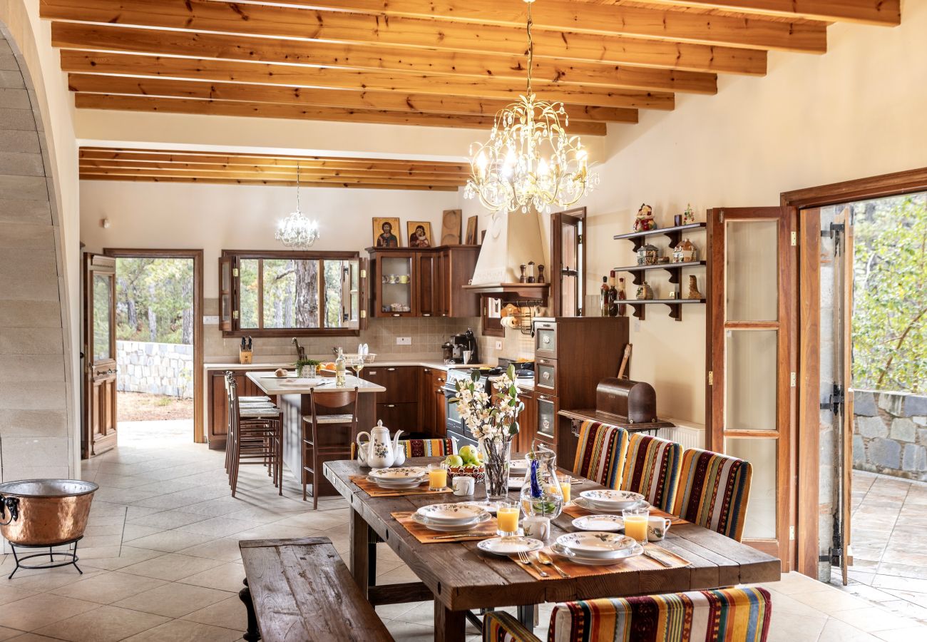 Villa in Pedoulas - Troodos Mature Pine Chalet 