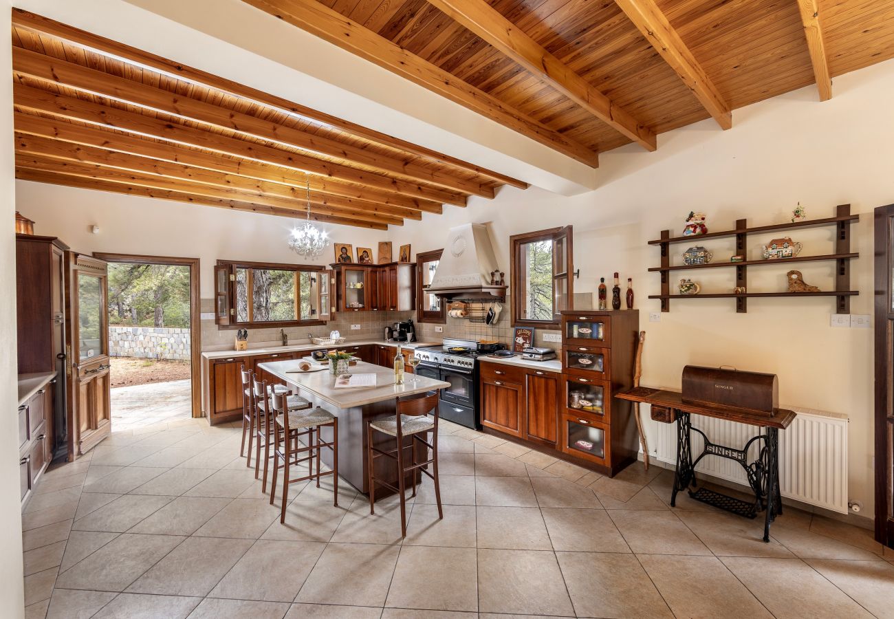 Villa in Pedoulas - Troodos Mature Pine Chalet 