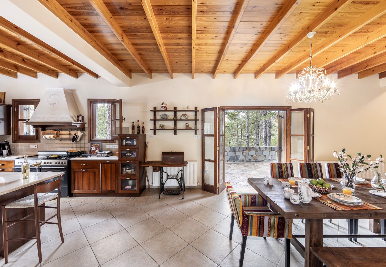 Villa in Pedoulas - Troodos Mature Pine Chalet 