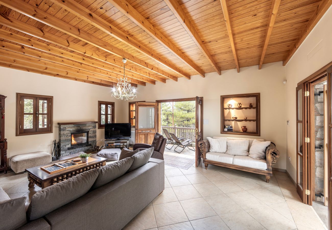 Villa in Pedoulas - Troodos Mature Pine Chalet 
