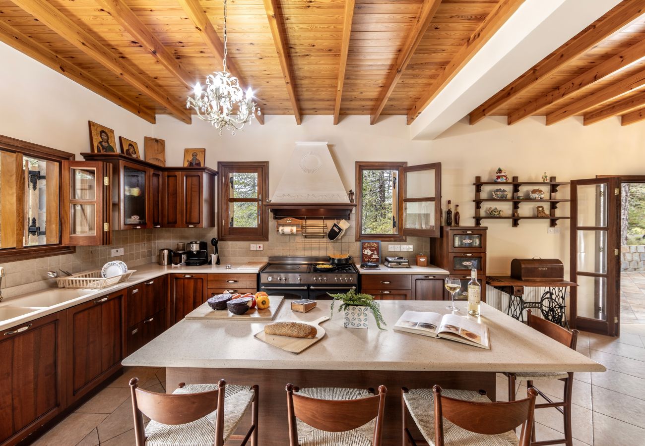 Villa in Pedoulas - Troodos Mature Pine Chalet 