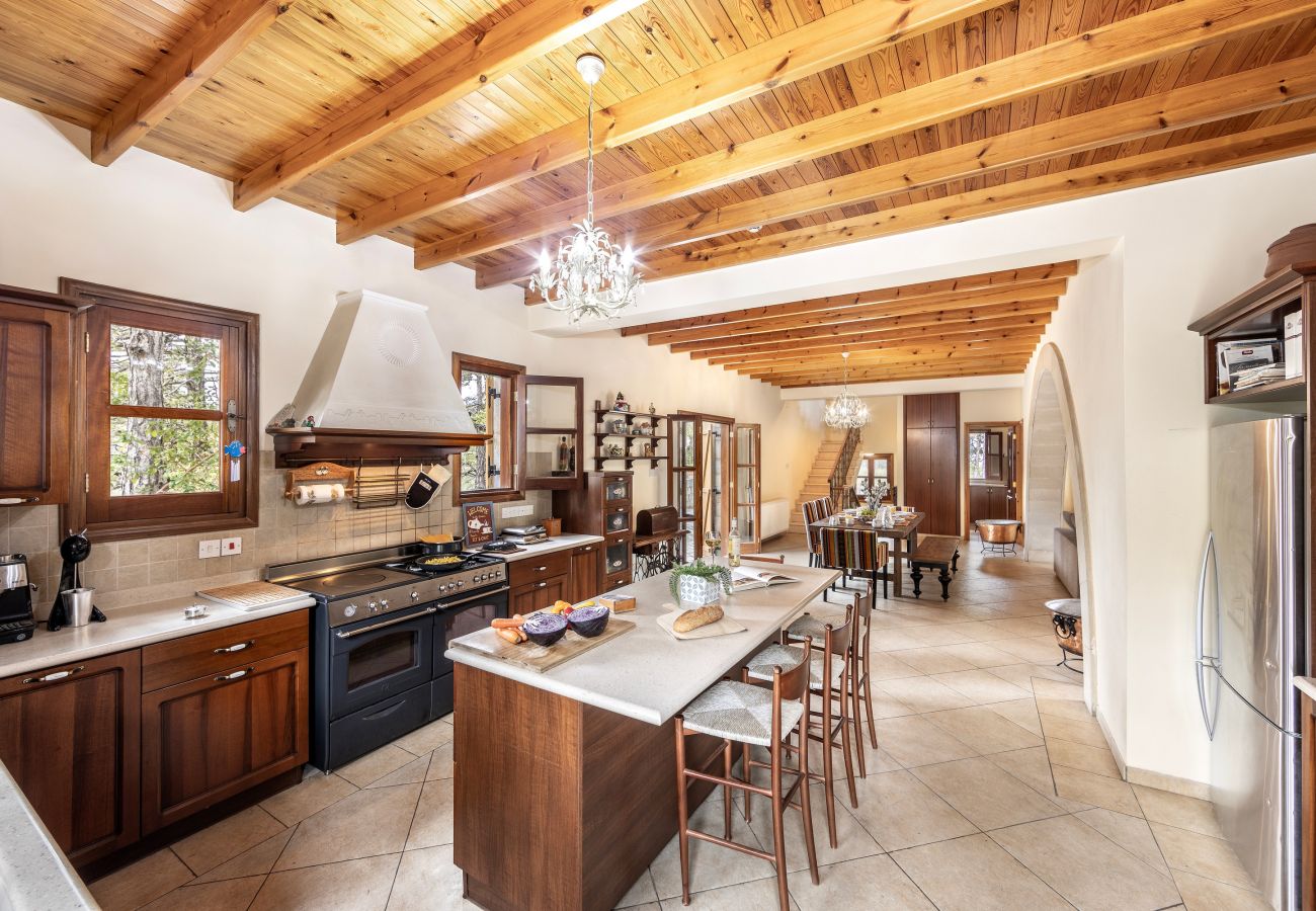 Villa in Pedoulas - Troodos Mature Pine Chalet 