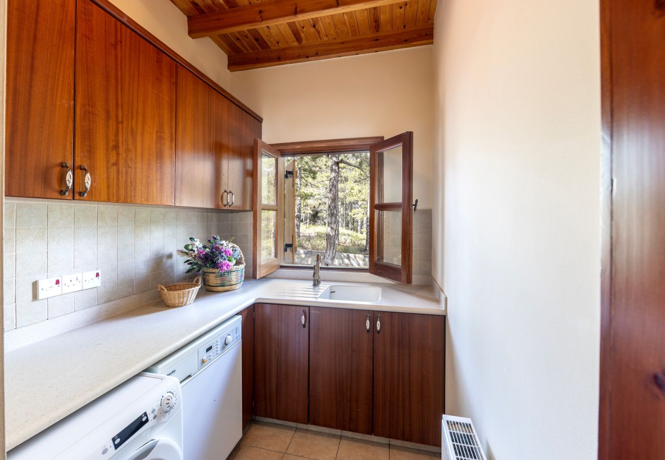 Villa in Pedoulas - Troodos Mature Pine Chalet 
