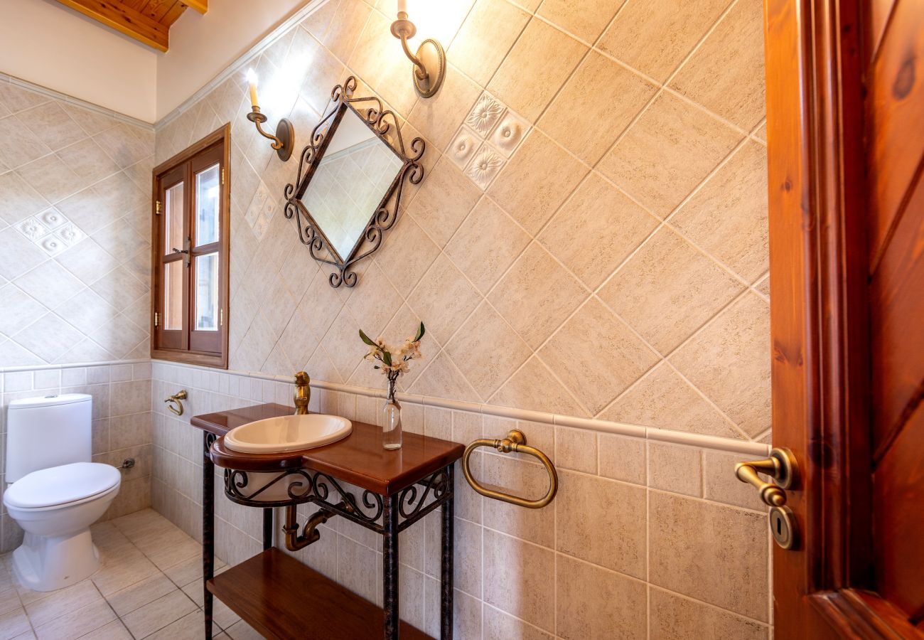 Villa in Pedoulas - Troodos Mature Pine Chalet 