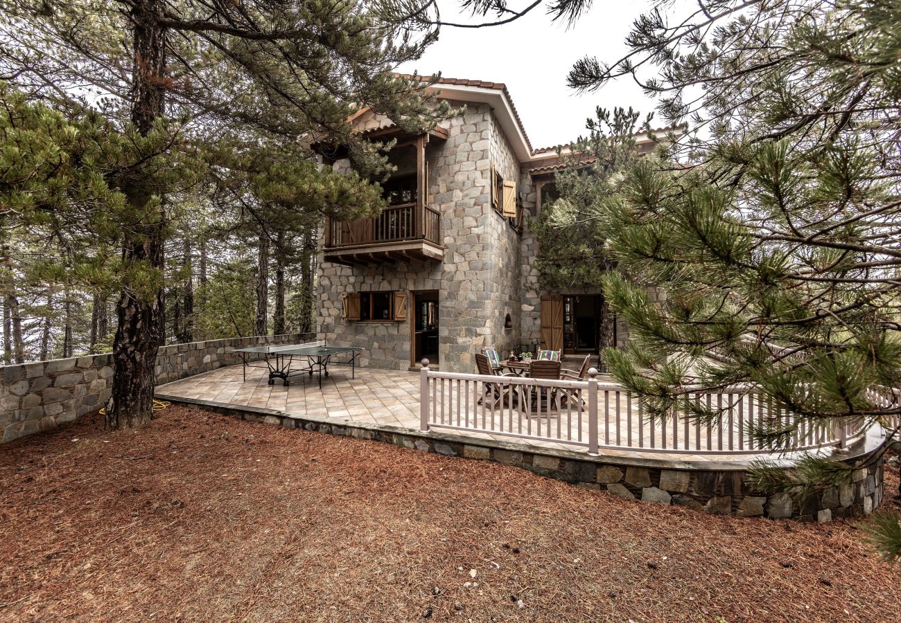 Villa in Pedoulas - Troodos Mature Pine Chalet 