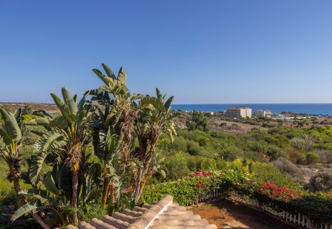 Villa in Ayia Napa - Ayia Napa Sycamore Seaview Villa in Ayia Napa - Ayia Napa Sycamore Seaview