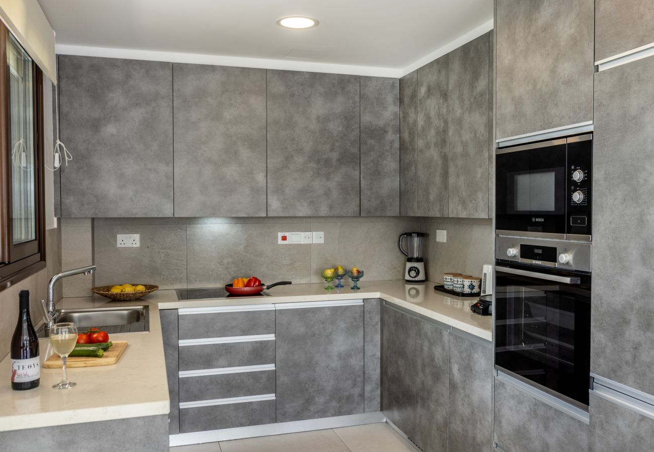 Villa in Ayia Napa - Ayia Thekla Luxury Villa Ionion H15