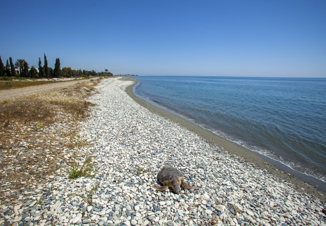 Villa in Pervolia - Larnaca Seaside villa Marina 43